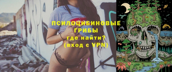 гидра Баксан