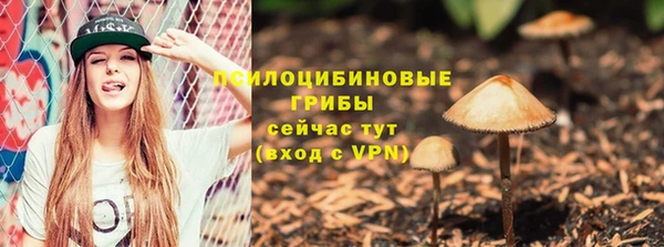 гидропоника Армянск