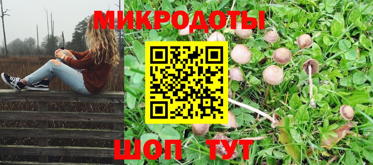 Балашов  Псилоцибиновые грибы MAGIC MUSHROOMS  Вход с VPN  Галлюциногенные грибы мухоморы 